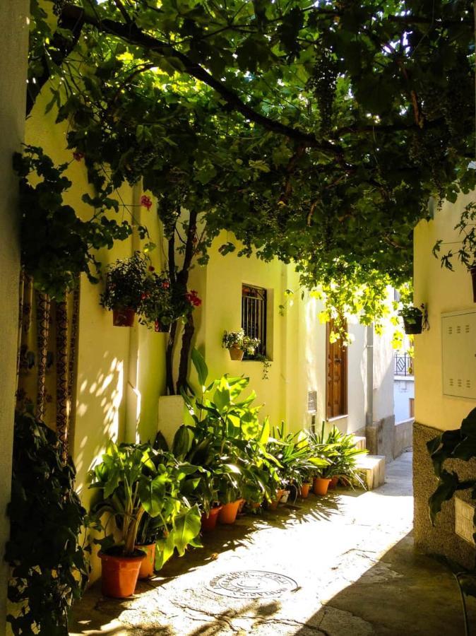 Casa Corasol, A Cozy, Comfy, 2Br House- Panoramic View And Rooftop Canar 外观 照片